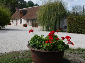 Gîte chaleureux près des Châteaux de la Loire, avec terrasse, équipements de loisirs et pêche - FR-1-491-357